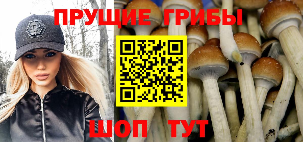 Псилоцибиновые грибы Psilocybe  Вход с VPN  Ржев 